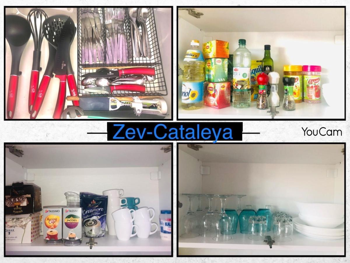 Zev- Cataleya Mamaia Nord Apartment Navodari Luaran gambar
